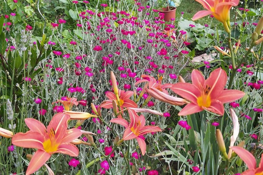 Gite Les Lilas La Genevraye Extérieur photo